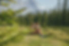 Wandern am Mühlhaus