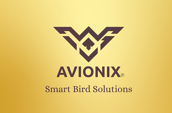 Immagine del redattore: Avionix service