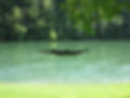 IMG_0035_edited.jpg