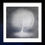 Thumbnail: the Silver Grace