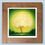 Thumbnail: Shining