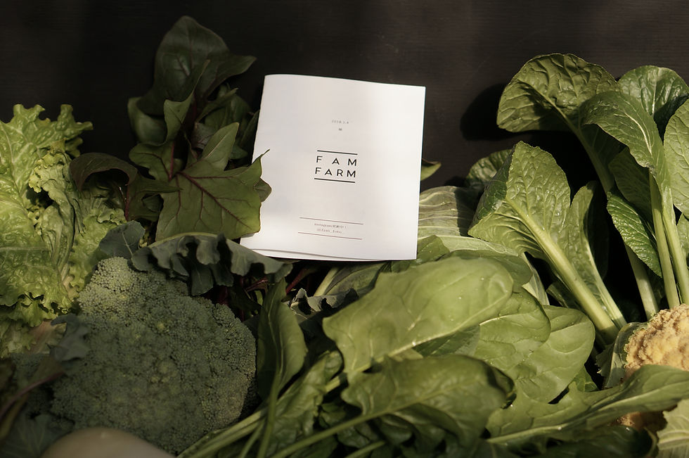 サムネイル： FAM FARM 有機野菜セット　定期宅配　一人暮らし