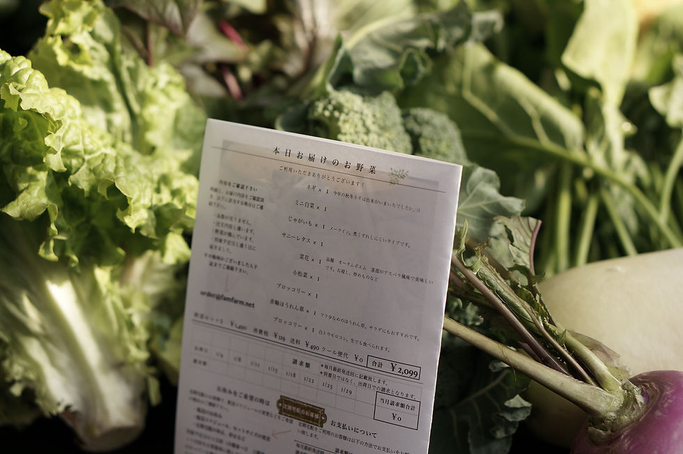 メルカリ便　有機野菜セット８品＋おまけ＋白米約５Kg 有機野菜セット おまかせ7品目 冷蔵便 | 箱売り野菜 | 地球畑