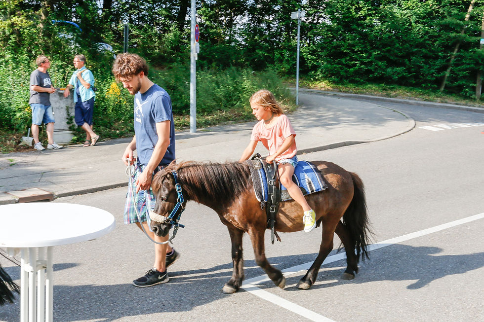Sch+Ânbergfest_2017-35