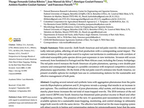 Perspectives for Synergic Blends of Attractive Sources in South American Palm Weevil Mass Trapp