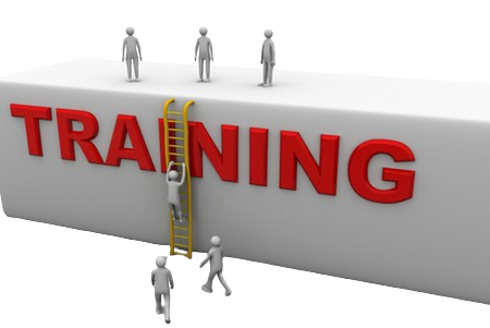 training-graphic-removebg-preview.png
