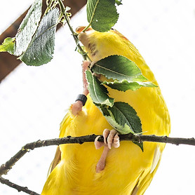 DSC_0132.jpg