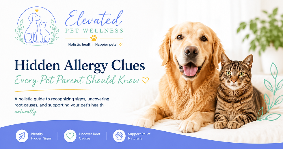 Pet Allergies