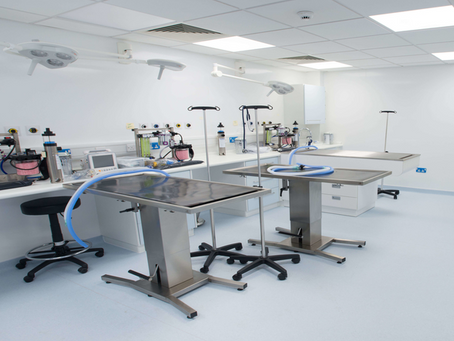 Why is the use of hygienic wall cladding important in veterinary practice?