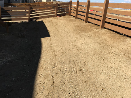 Fence Painting After