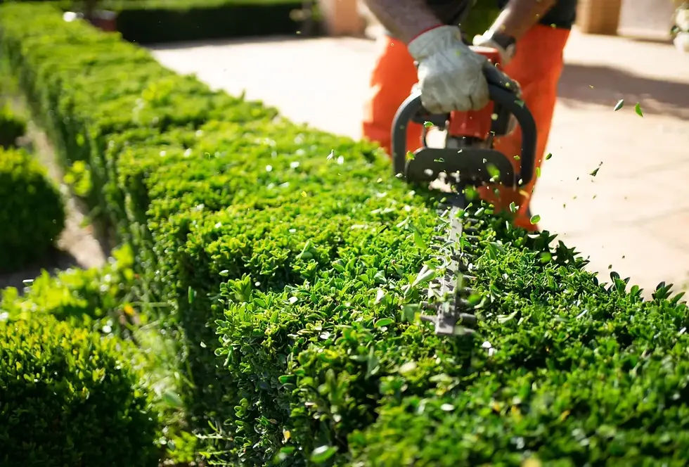 BL-Landscaping-and-Gardening