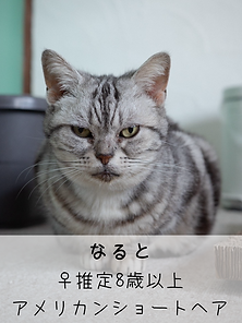 無題51_20250326131840.PNG