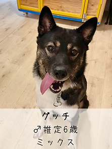 無題52_20250929083521.PNG