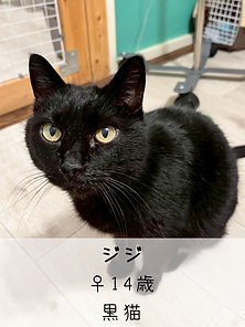 無題51_20250507001145.PNG