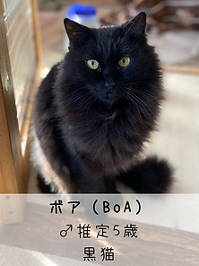 無題51_20250107204422.PNG