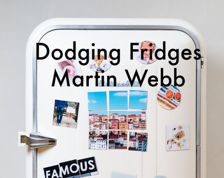 Dodging Fridges by Martin Webb