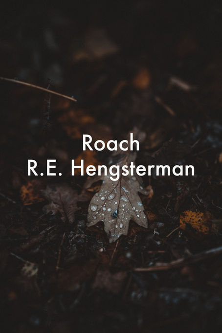 Roach by R.E. Hengsterman