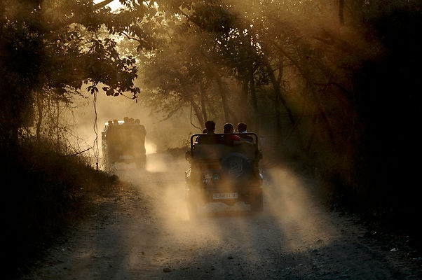 Safari Sunset.jpeg