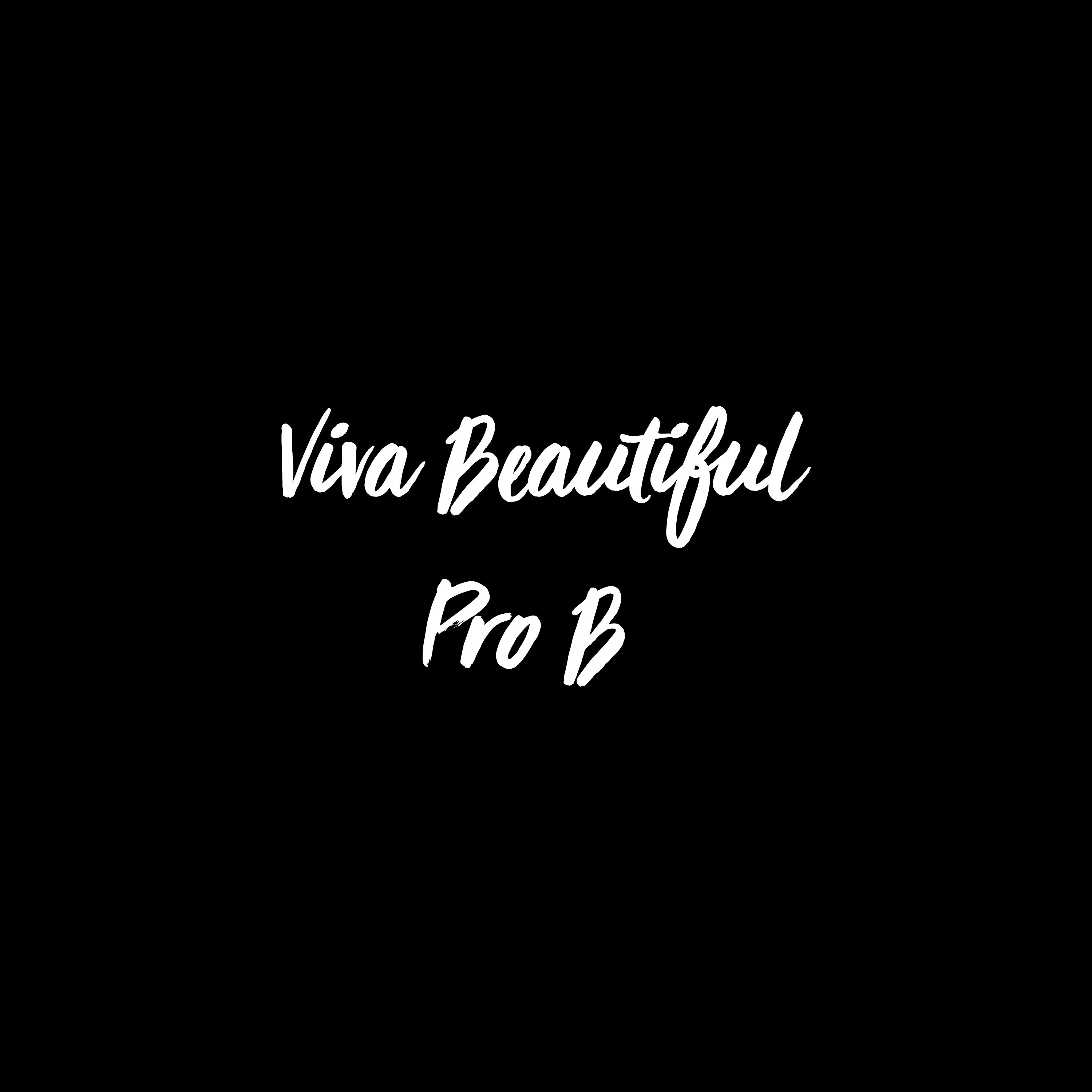 Viva Beautiful Pro B Font - 1 User