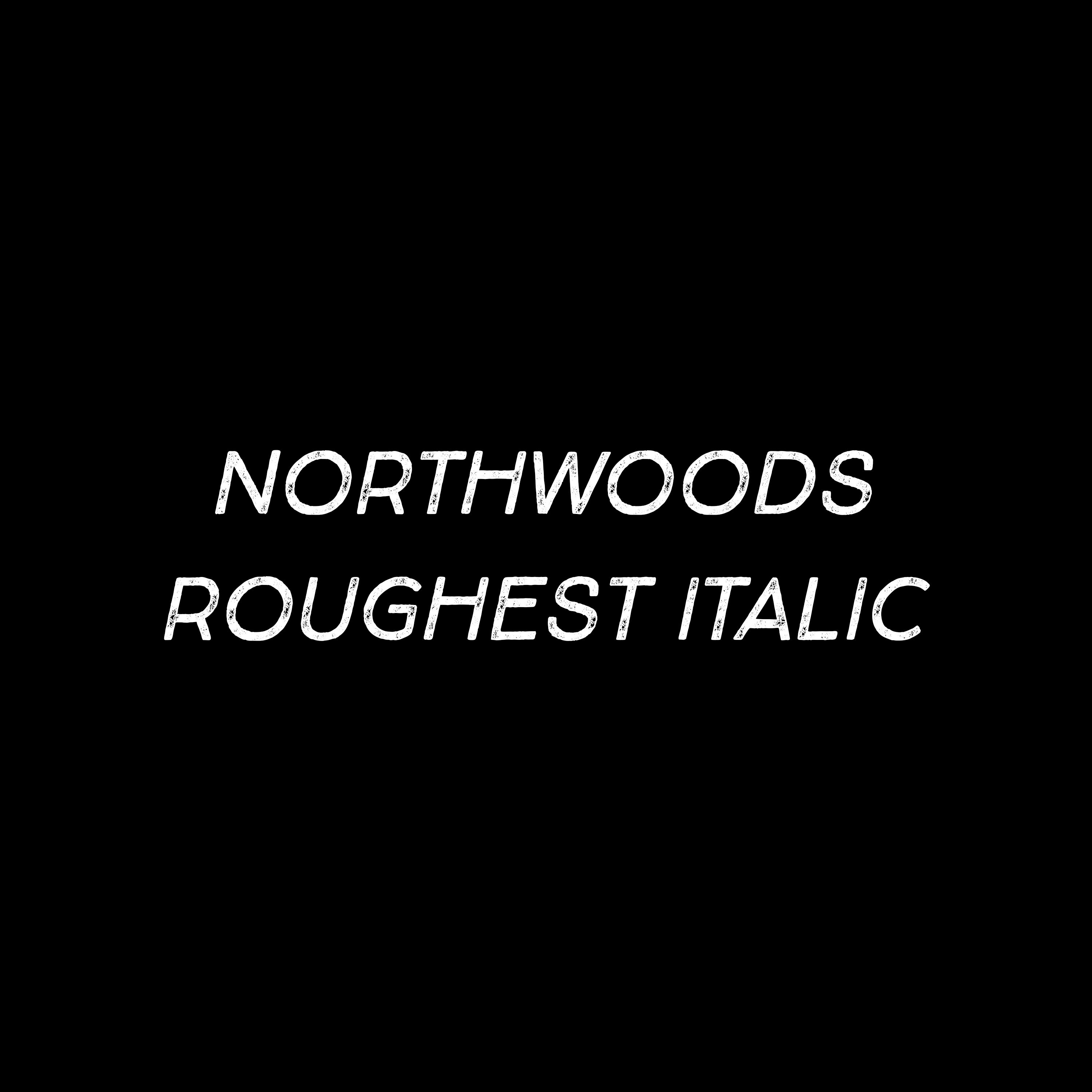 Northwoods Roughest Italic Font - 1 User