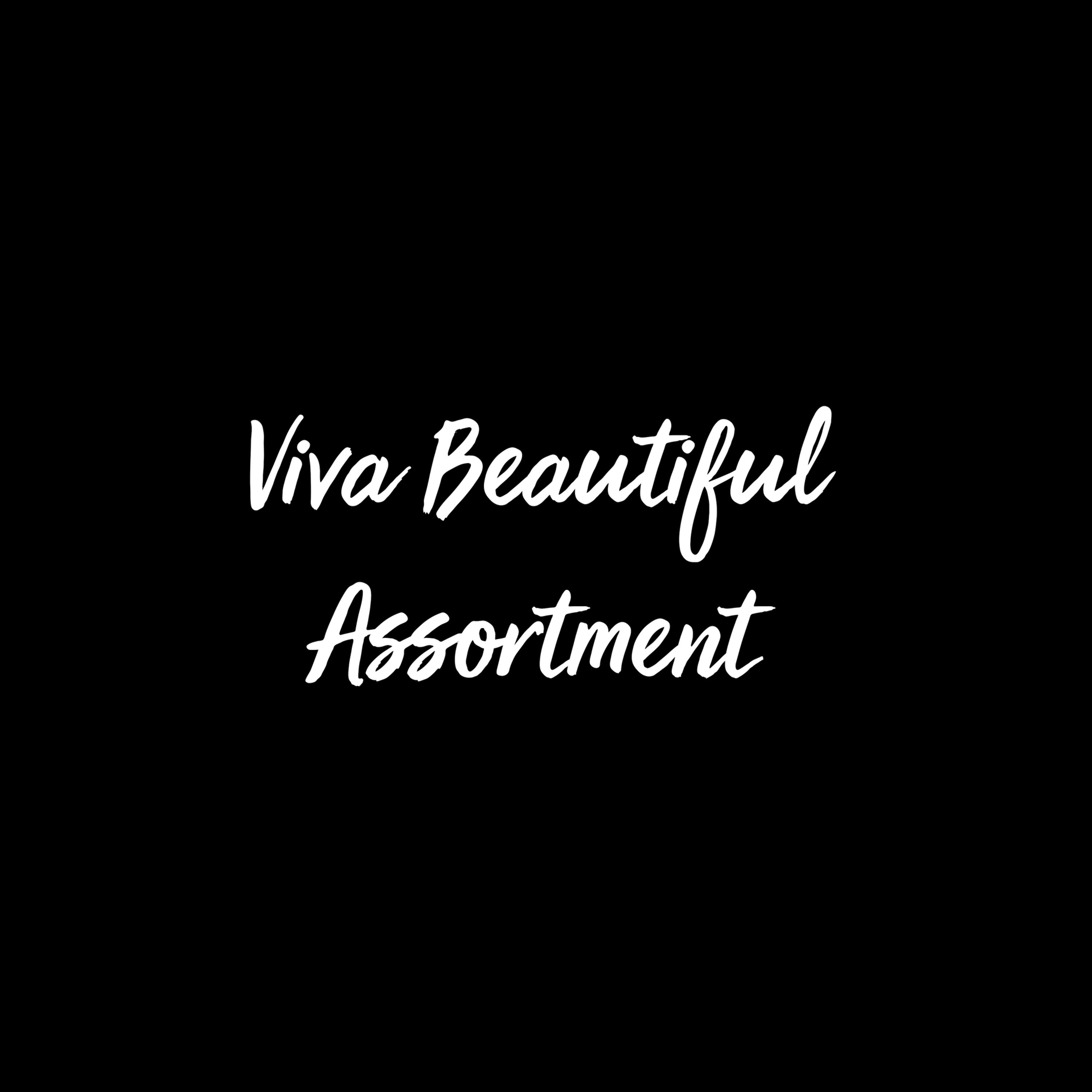 Viva Beautiful Font Assortment - 1 User