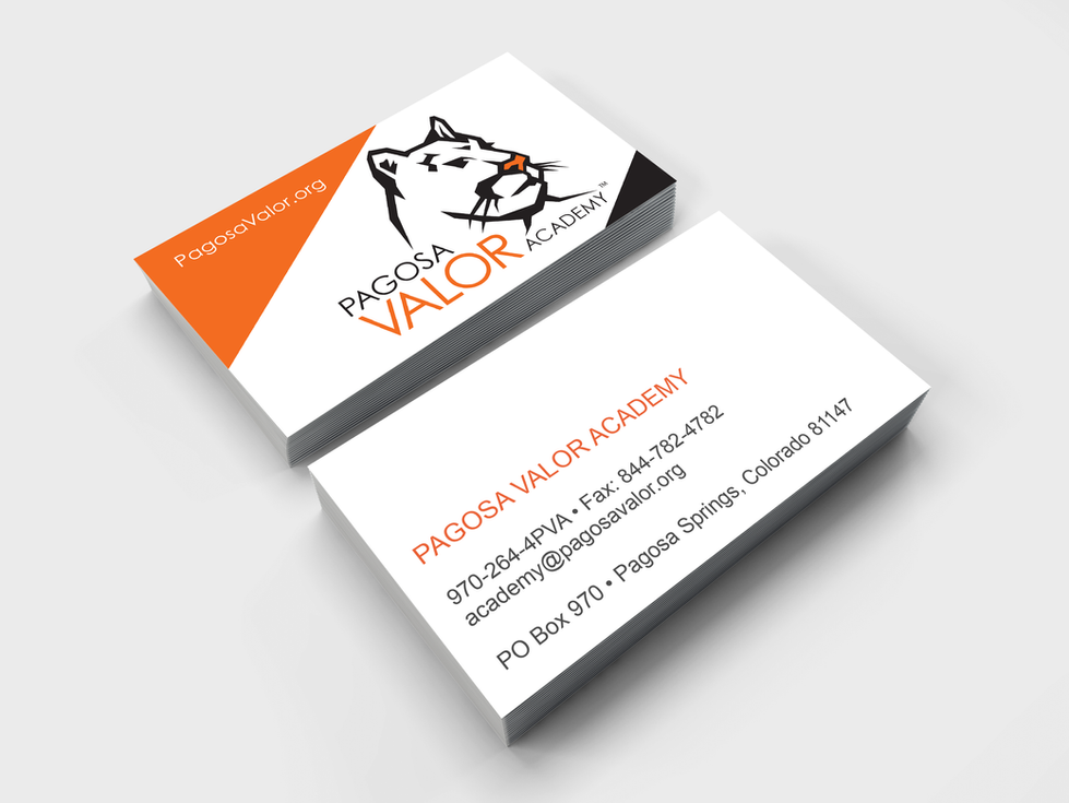 pva-biz-card