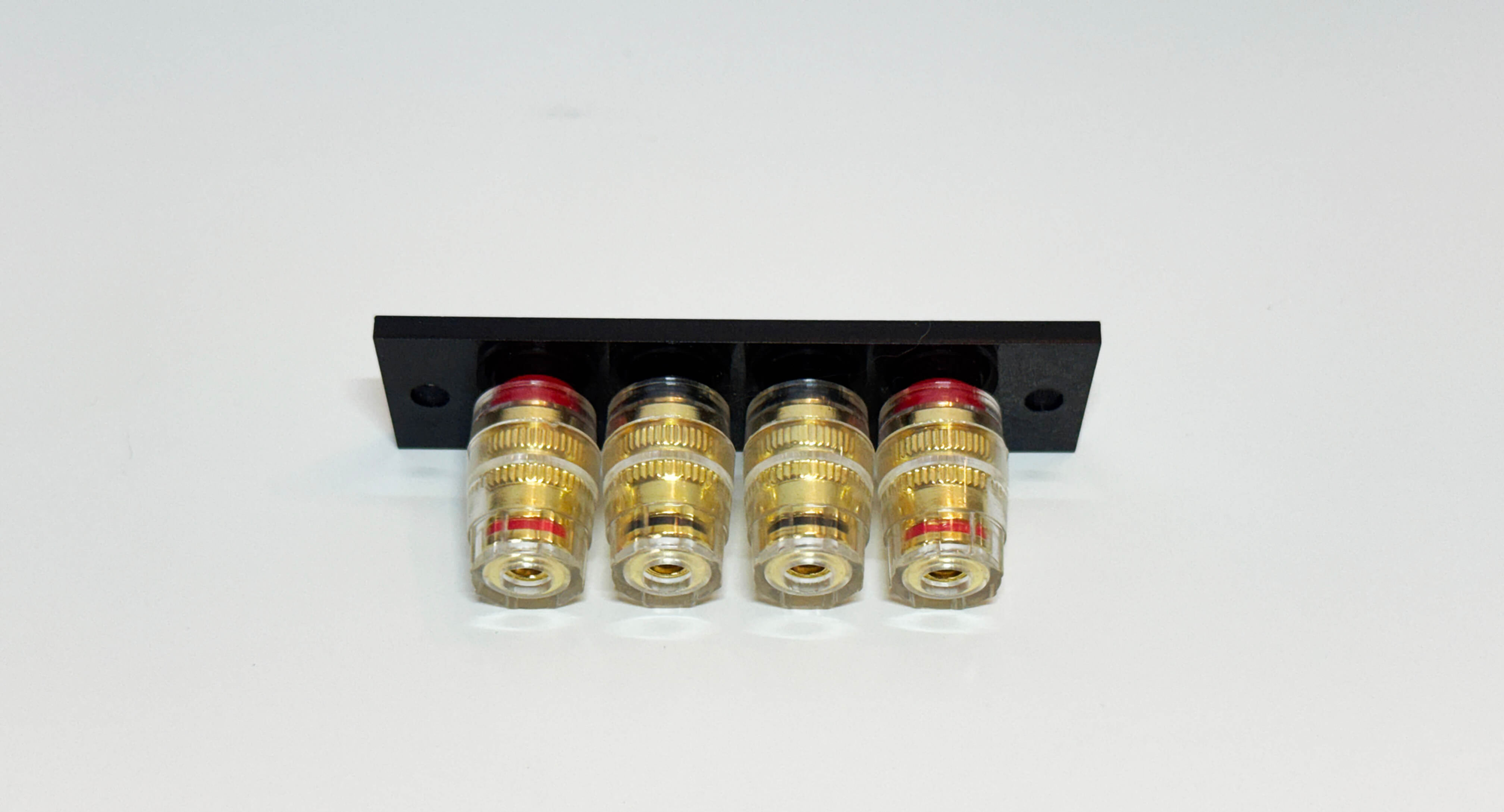 speaker terminal plate with 5-way binding posts