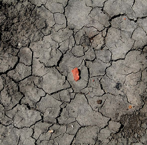 photo of a singular red rock on a bed of dry clay