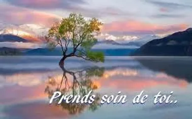 Cette image a un attribut alt vide ; le nom du fichier est 0a3dbb_f737f76636a14c8ab5c1e1e841234e69~mv2.webp