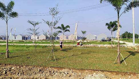 WhatsApp Image 2020-06-29 at 15.47.24.jp