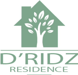 LOGO DRIDZ - FIX.png