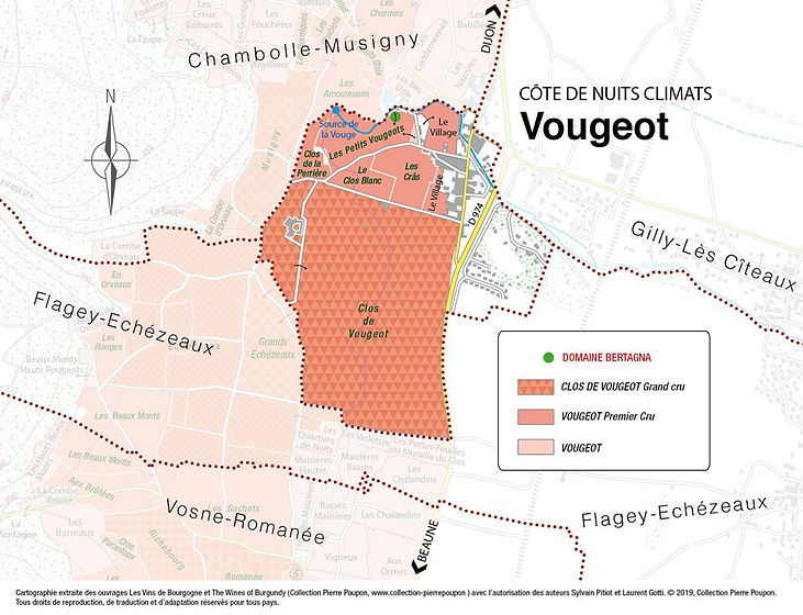 vougeot-vill-blanc.jpeg