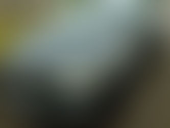 Renault Megane 1.5 dCi – 2019 – 10980€ vendu  