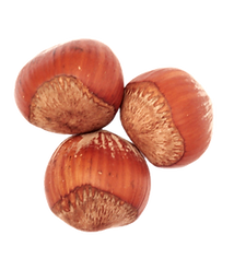 3 Hazelnuts bunched together.