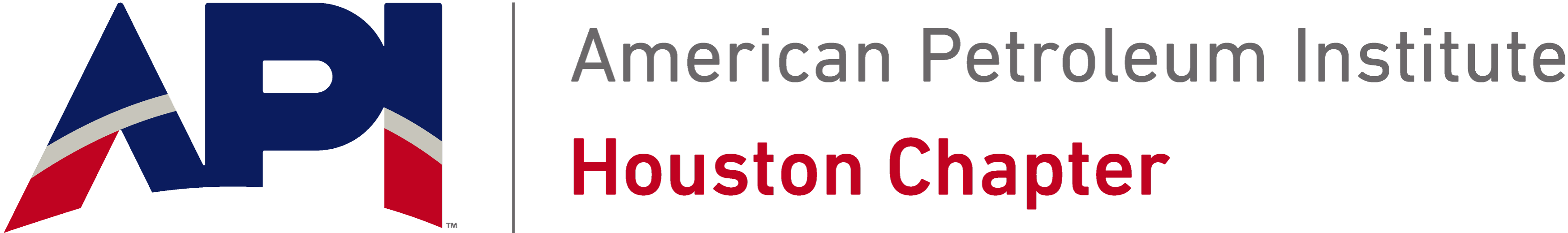 Houston Chapter American Petroleum Institute