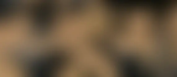 How to Mount an Action Camera on a Bike for the Best Shots