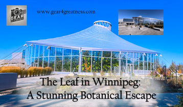 The Leaf in Winnipeg: A Stunning Botanical Escape