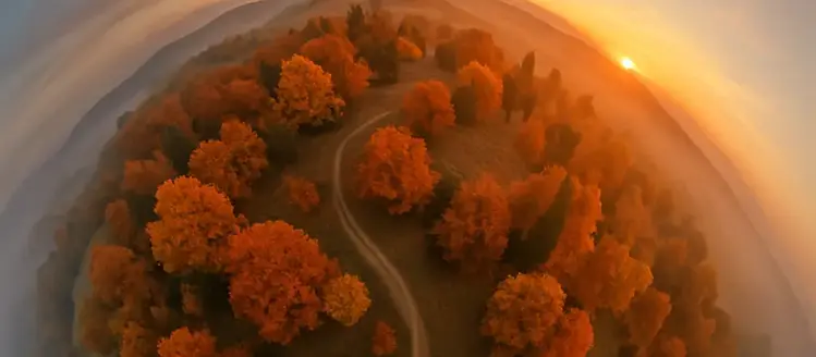 Insta360 X5 vs X4 (2025): Better Sensors and Higher Frame Rates Compared