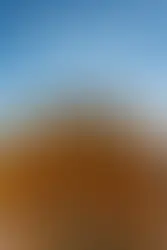 ๐ DJI 360 vs Insta360 X5 โ Which 8K Camera Rules the Future of Immersive Video?