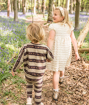 Bluebells