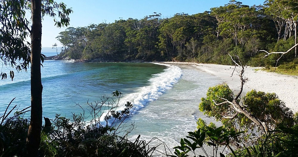 Dog friendly holidays in Jervis Bay