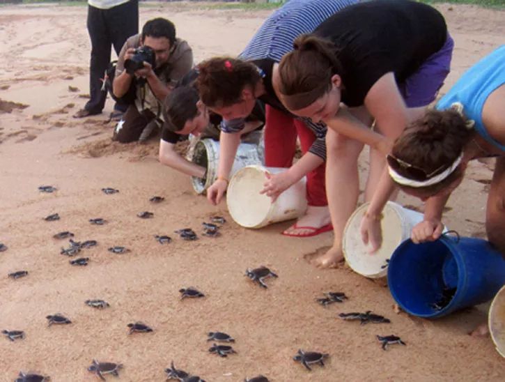 Sri Lanka Wildlife