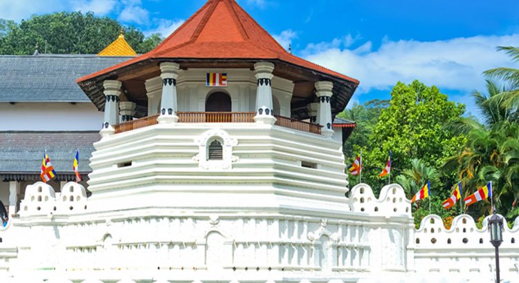 Sri Lanka Tagestour