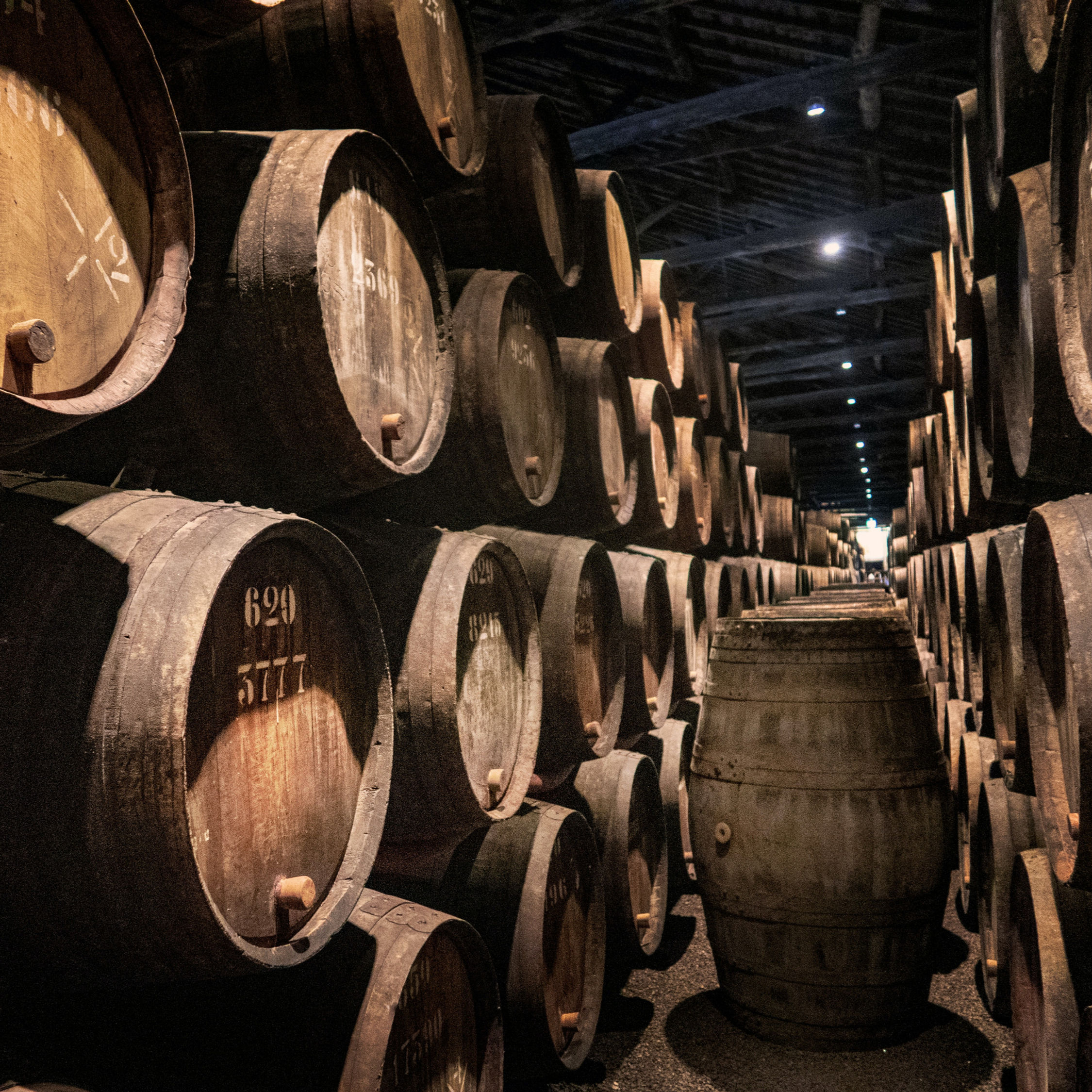 Wine Cellar (Type)