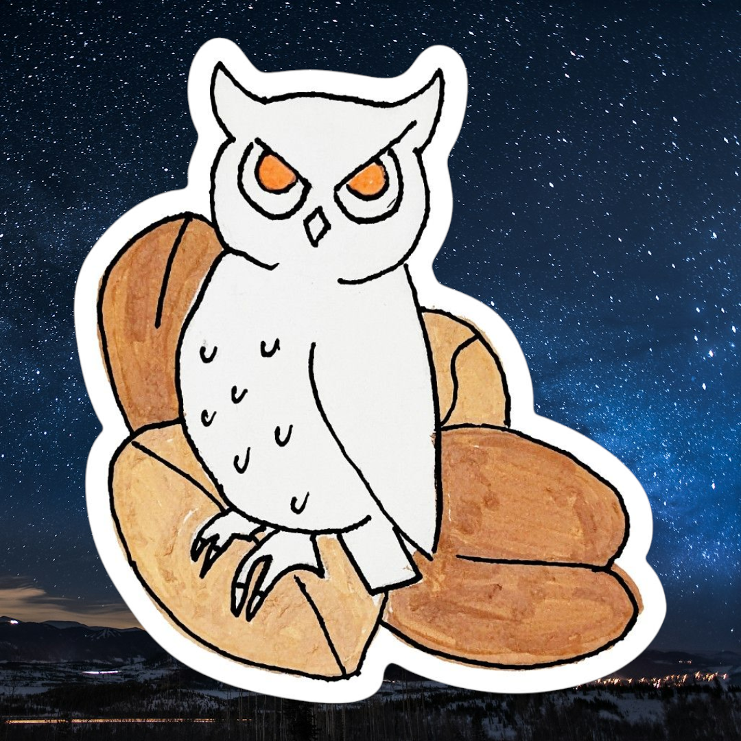 Owl 4 beans
