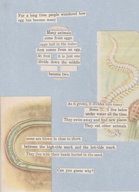 Sea Creatures 3: Become Two