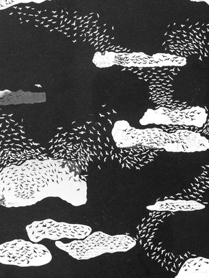 IV: Dissonance - Disasters & Migration