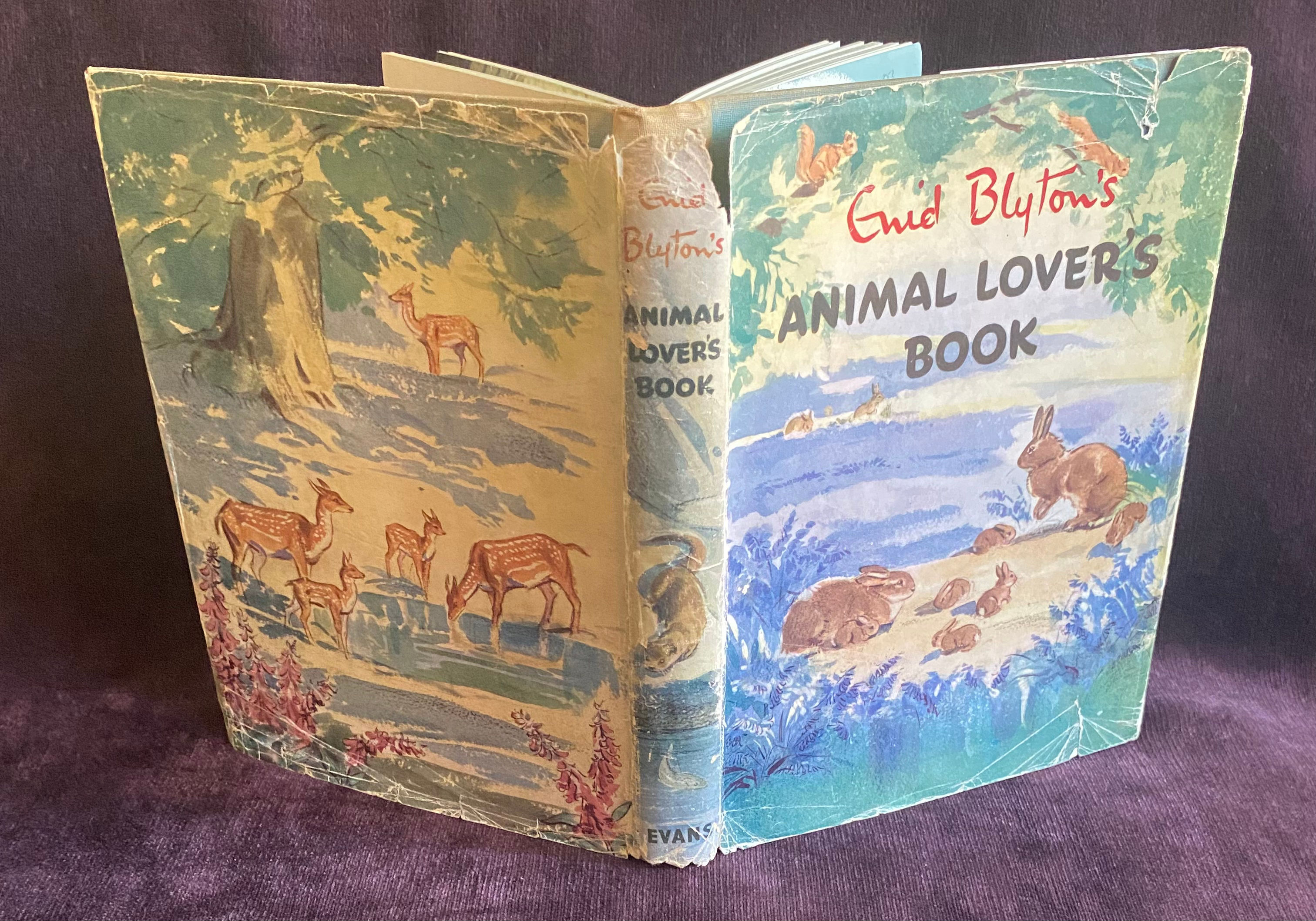 Animal Lover's Book. Enid Blyton's
