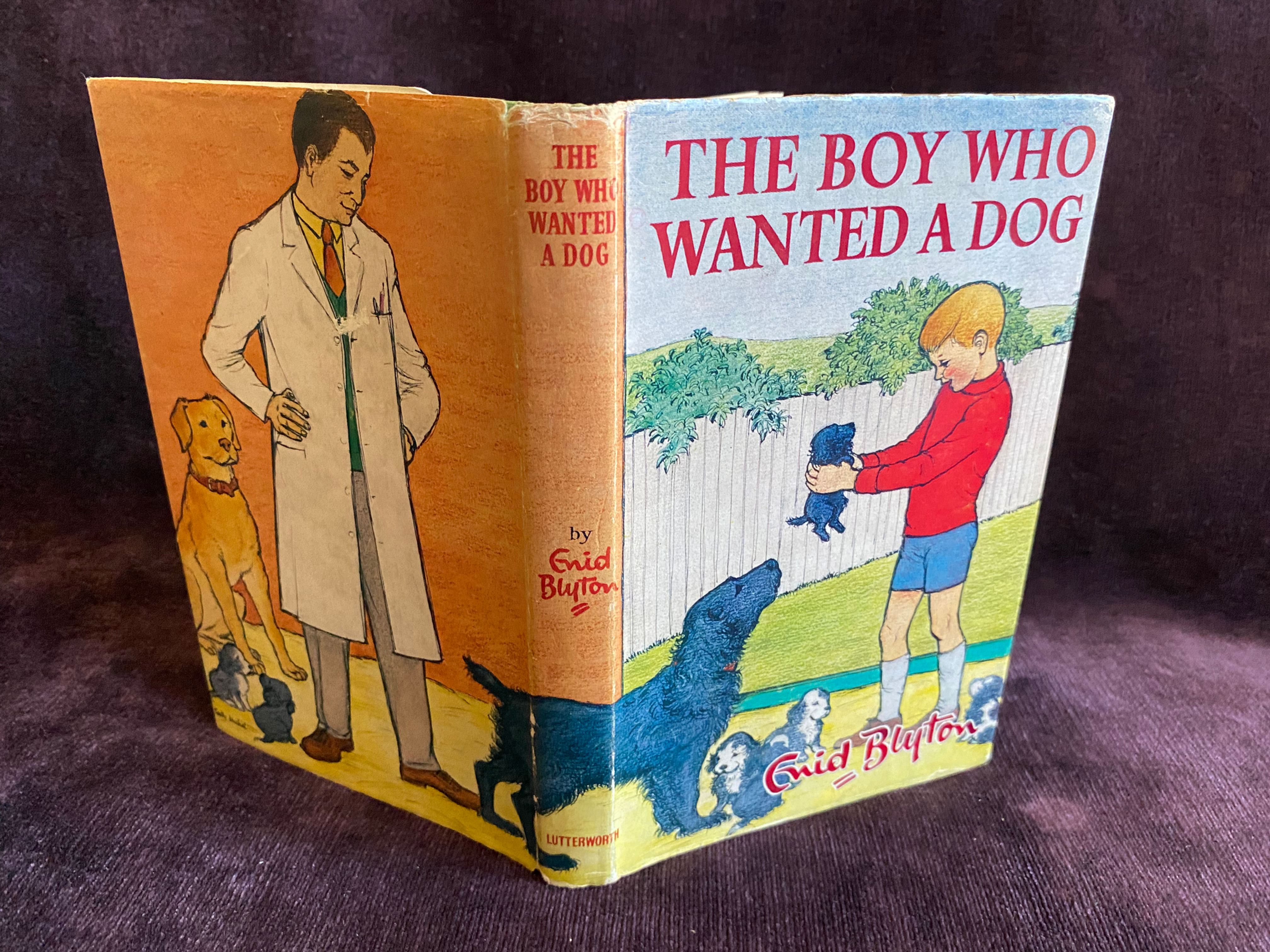 The Boy Who Wanted A Dog. Enid Blyton