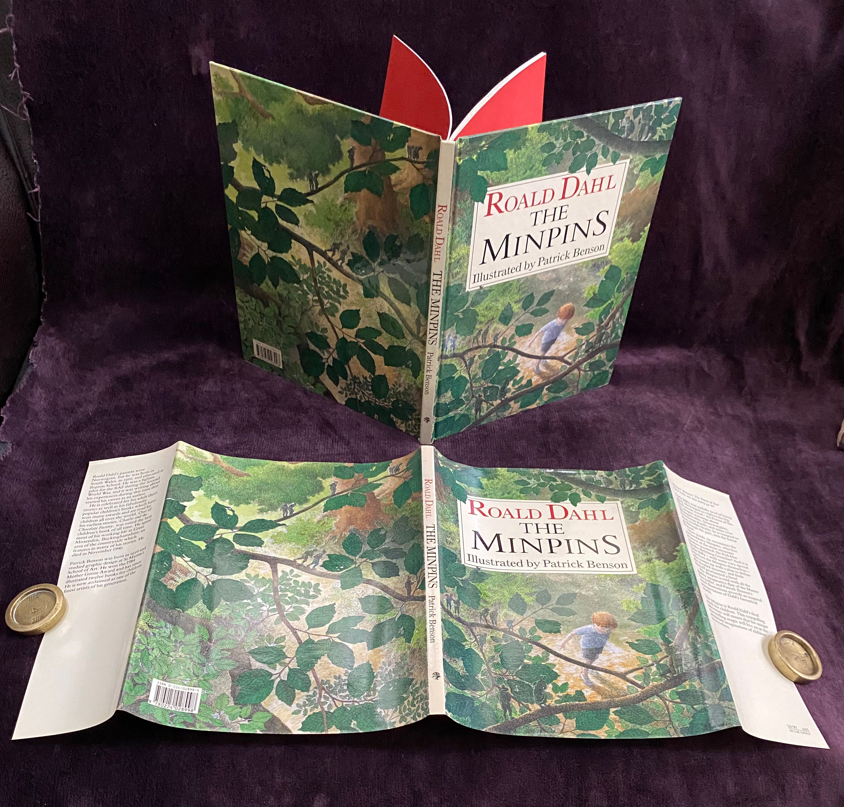 The Minpins. Ronald Dahl